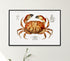 Modern Black Wood Framed Dungeness Crab Vintage Illustration Wall Art Print